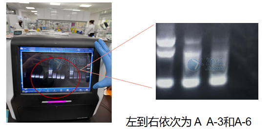 新闻图片3