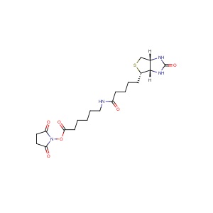 N-琥珀酰亚氨基6-生物素氨己酸,72040-63-2,≥98%,阿拉丁产品图