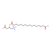 十六烷二酸单左旋肉碱酯氯化物,42150-38-9,≥90%,阿拉丁