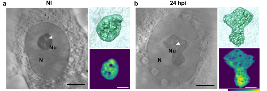 新闻图片8