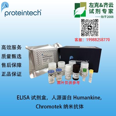 Human VEGFR-1 ELISA Kit产品图