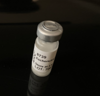 ATCC 8739 大肠埃希标准菌株