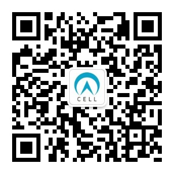 新闻图片2