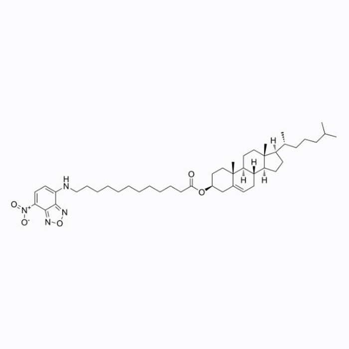 3-十二烷酰-NBD胆固醇，1246303-05-8，BioReagent, 生物染色剂, 适用于荧光分析, 用于显微镜, ≥95%，阿拉丁产品图