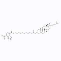 3-十二烷酰-NBD胆固醇，1246303-05-8，BioReagent, 生物染色剂, 适用于荧光分析, 用于显微镜, ≥95%，阿拉丁