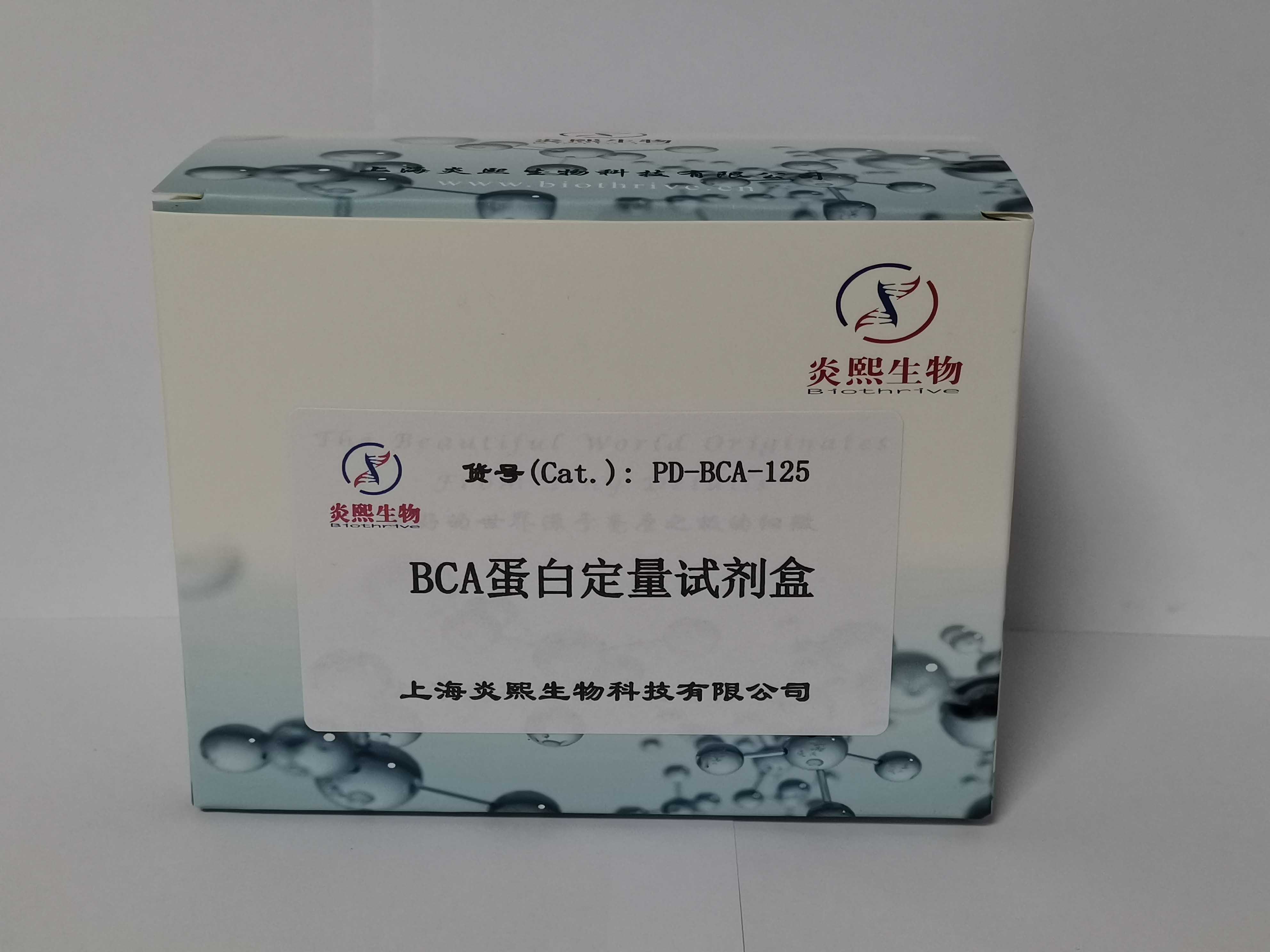BCA蛋白定量试剂盒产品图