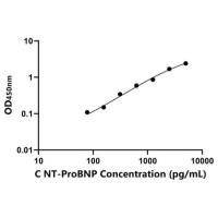 犬氨基端前脑钠素(NT-ProBNP)ELISA试剂盒