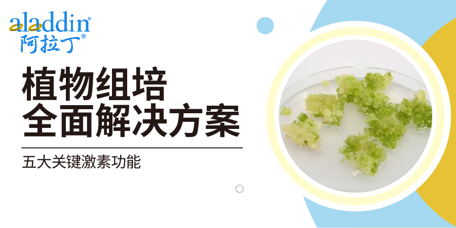 【阿拉丁】植物组培技术精要 | 五大类别植物激素功能与应用概述