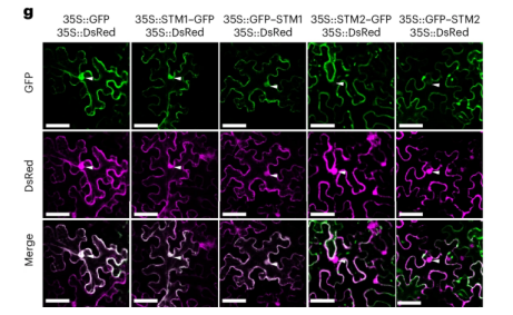 产品细节图片2
