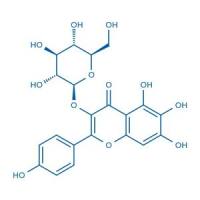 6-羟基山柰酚-3-O-β-D-葡萄糖苷