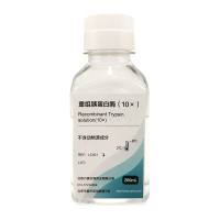 重组胰蛋白酶1×