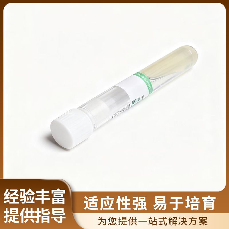 2代枯草芽孢杆菌 高效促生长 抗重茬效果好稳定性好