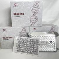 猪(Porcine)N-乙酰α-D-氨基葡萄糖苷酶(NAGLU)ELISA检测试剂盒
