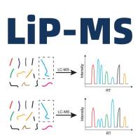 谱度众合药物靶点筛选：有限蛋白水解质谱（LiP-MS）