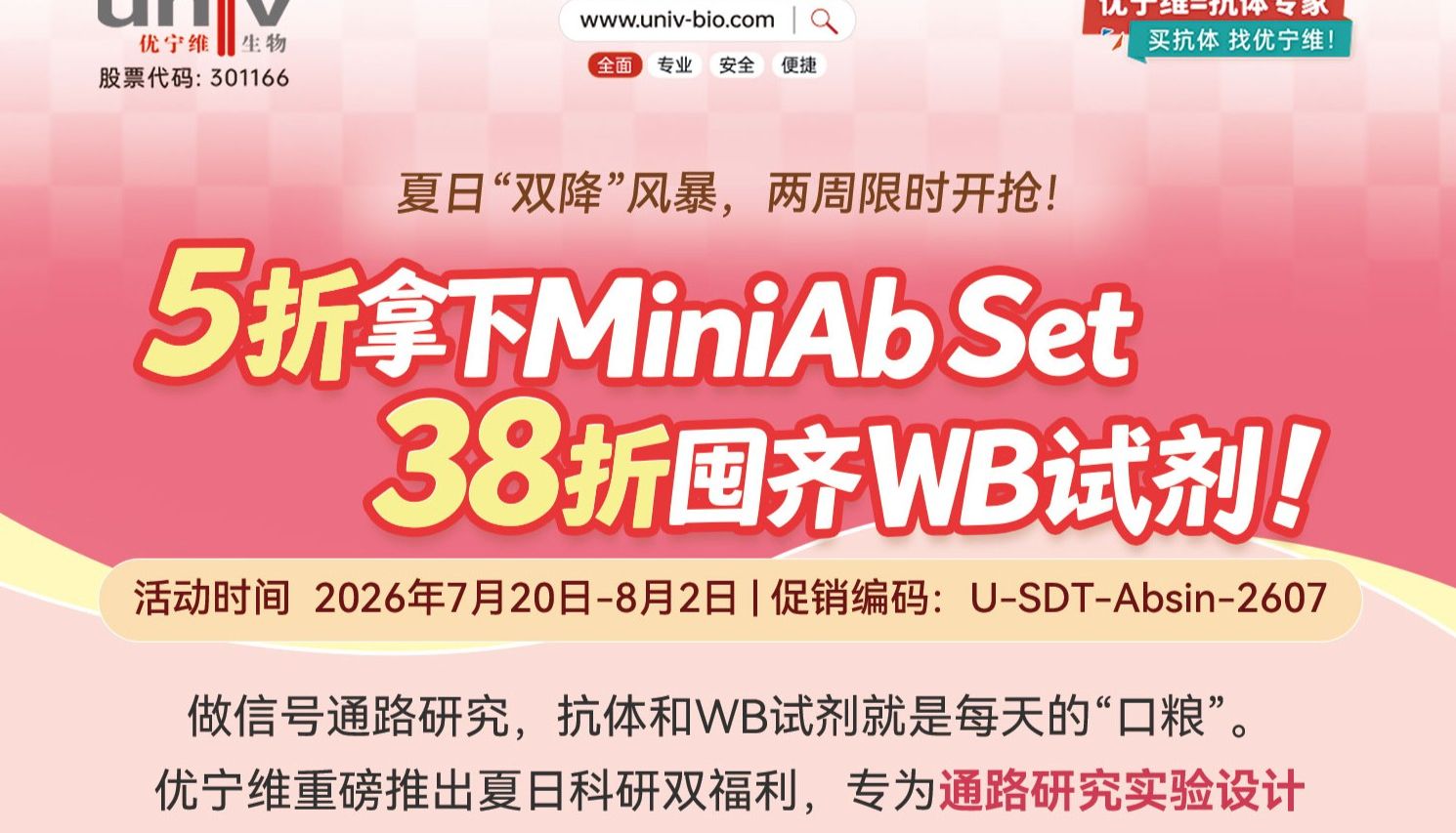 信号通路 WB 实验高效方案｜MiniAb 套装 5 折 + WB 试剂 38 折限时福利