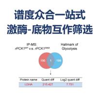 谱度众合一站式激酶-底物互作筛选