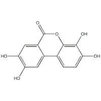 尿石素D