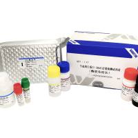 牛血清白蛋白（BSA）定量检测试剂盒（酶联免疫法）