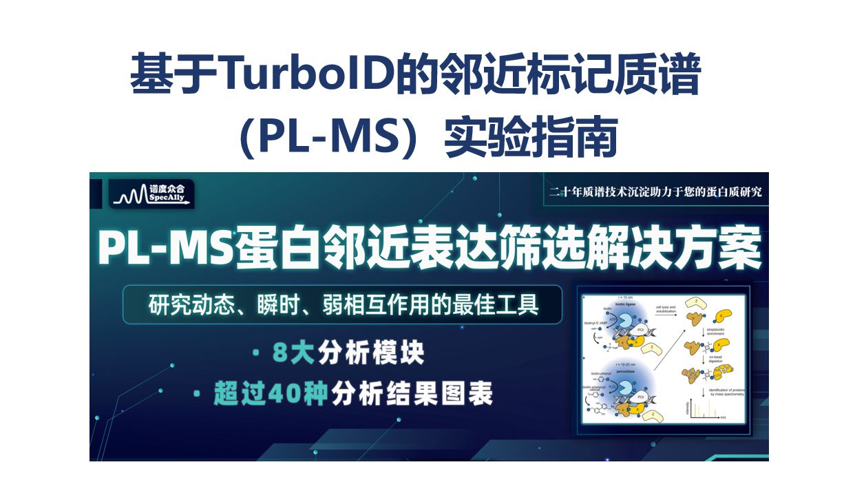 TurboID 邻近标记质谱指南①：融合表达系统构建