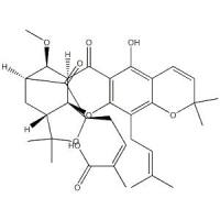 Isomoreollic acid