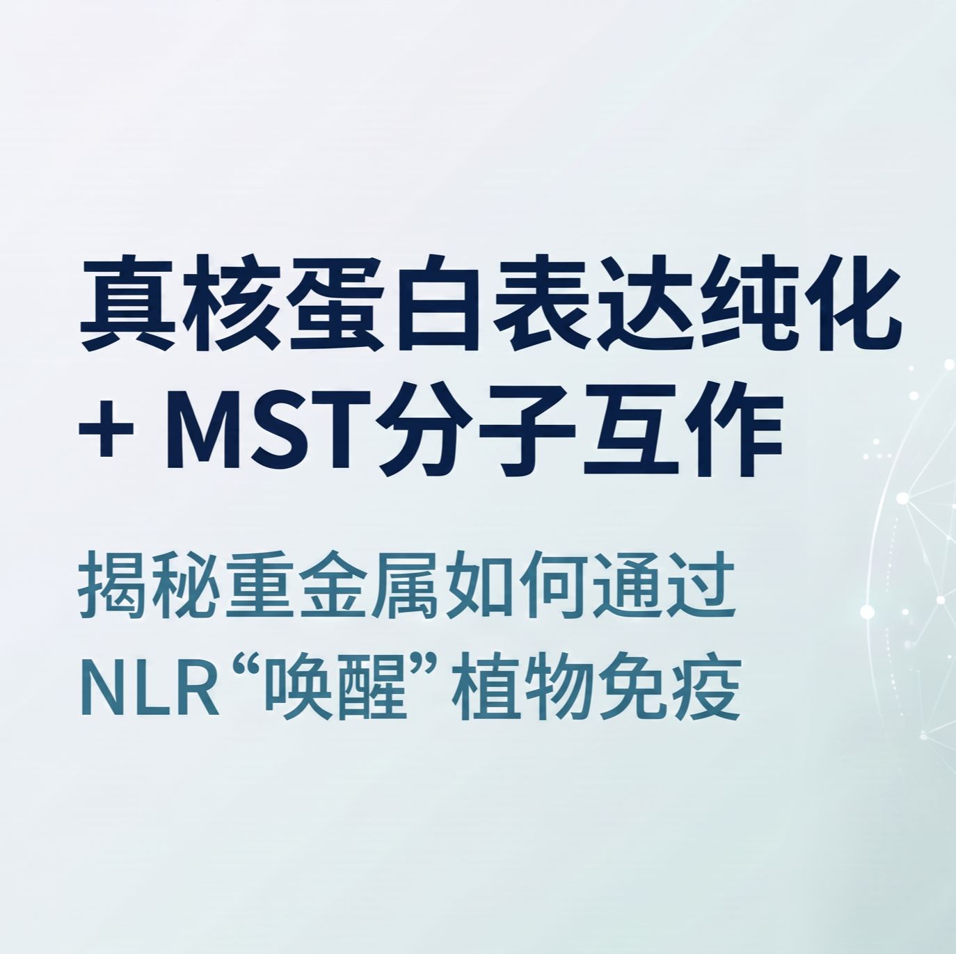 真核蛋白表达纯化+MST分子互作：揭秘重金属如何通过NLR"唤醒"植物免疫产品图