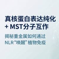 真核蛋白表达纯化+MST分子互作：揭秘重金属如何通过NLR"唤醒"植物免疫