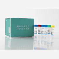 CHO残留DNA检测试剂盒（PCR-荧光探针法）