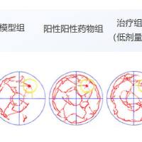斑马鱼改善记忆模型