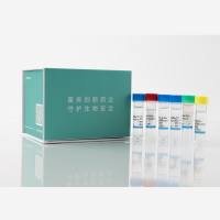 Vero残留DNA检测试剂盒（PCR-荧光探针法）
