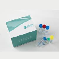 毕赤酵母残留DNA检测试剂盒（PCR-荧光探针法）
