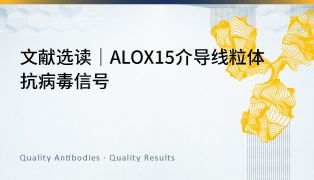 文献选读｜ALOX15介导线粒体抗病毒信号