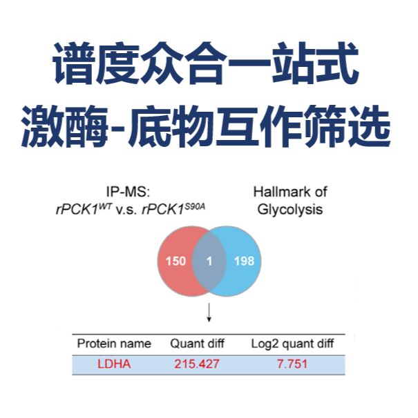 针对“激酶-底物筛选”场景,谱度众合提供全场景解决方案矩阵