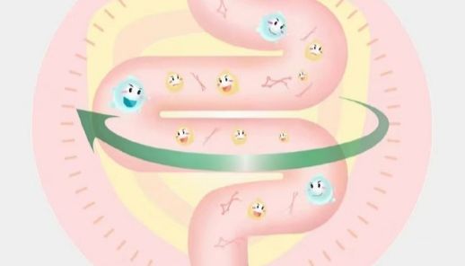 肠道微生物代谢产物检测（SCFAs/胆汁酸/生物胺）