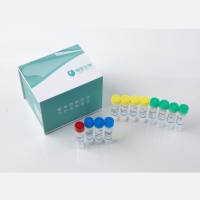 CHO残留DNA片段分析检测试剂盒 （PCR-荧光探针法）