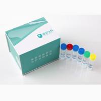 HEK293残留DNA检测试剂盒（PCR-荧光探针法）