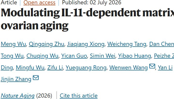 Nature Aging | 卵巢越硬老得越快？华科王世宣团队锁定关键调控因子IL-11