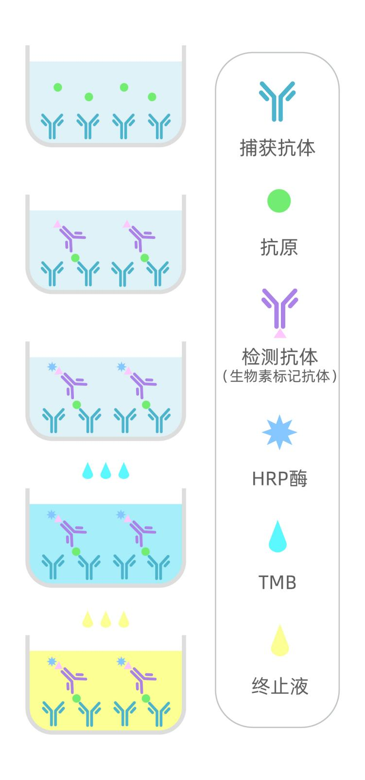 产品细节图片1