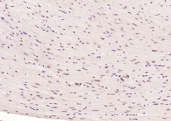 产品细节图片5