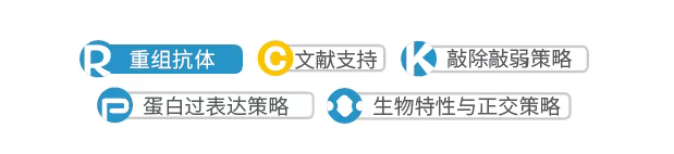抗体验证标识