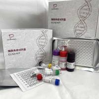 猪(Porcine)诱导型一氧化氮合成酶(NOS2/iNOS)ELISA检测试剂盒