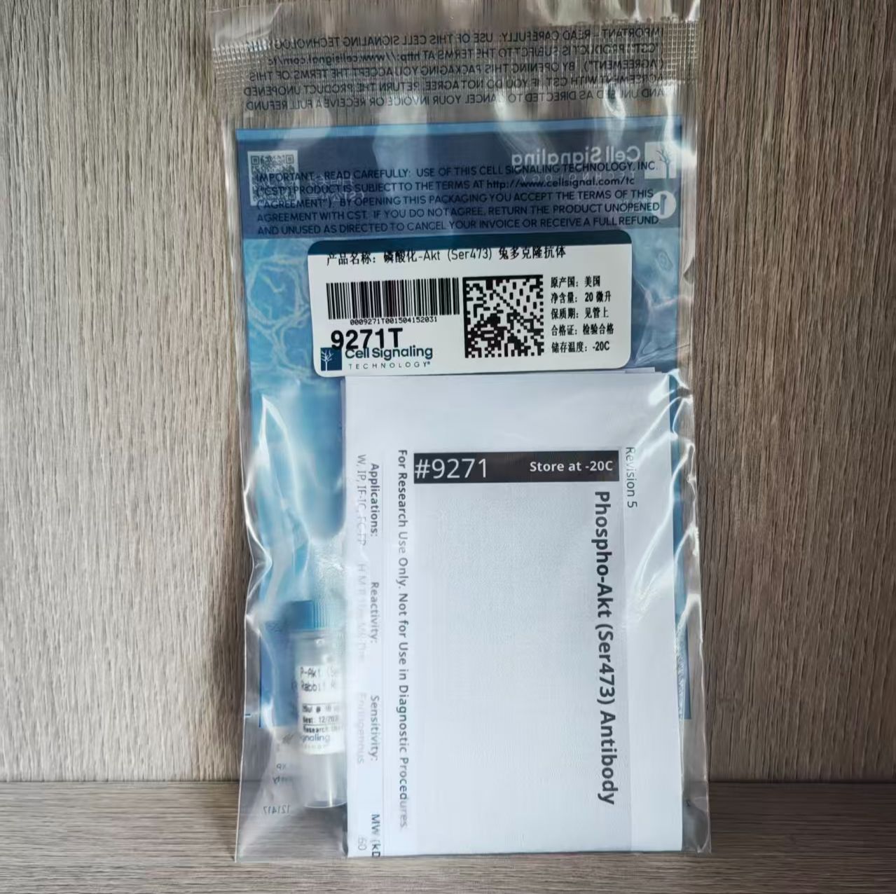 Phospho-Akt (Ser473) 抗体