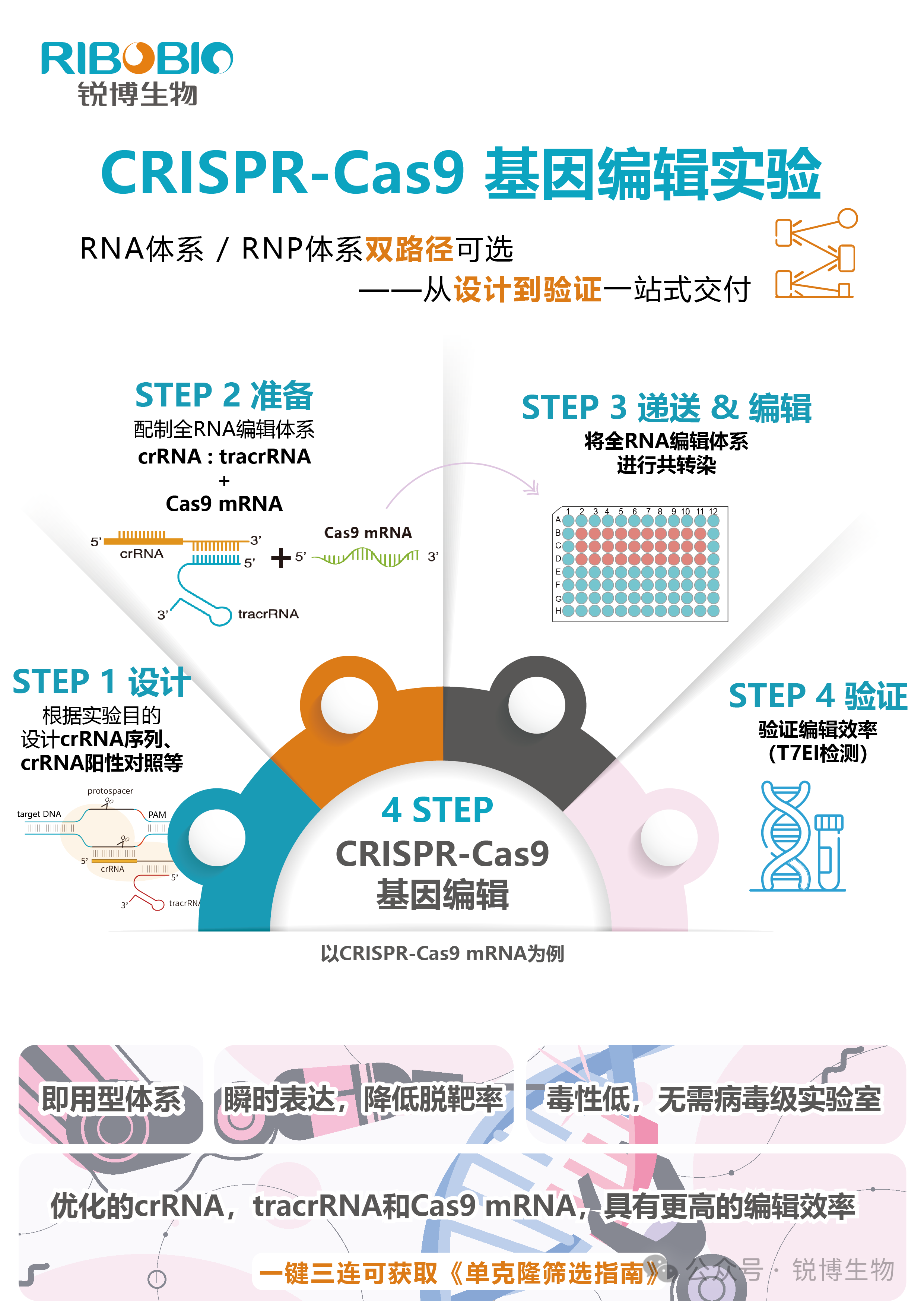 产品推荐|CRISPR-Cas9基因编辑实验