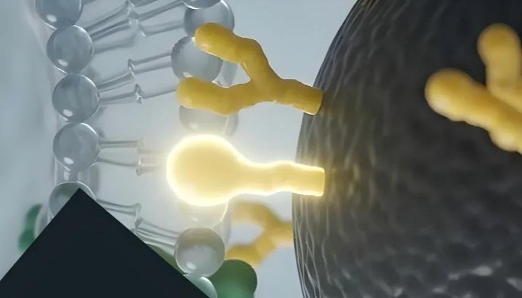 新品上线丨脂质纳米探针LNP外泌体分离纯化系统，赋能多组学研究新范式