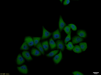 产品细节图片1