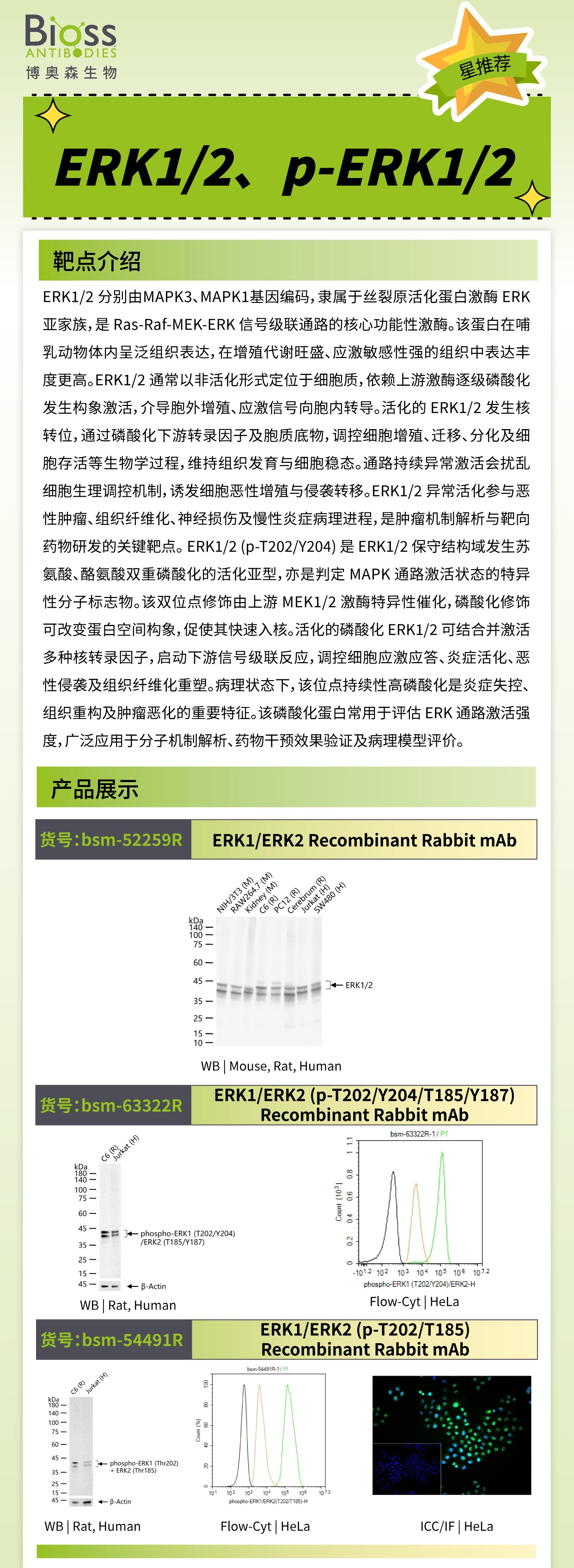 新闻图片1