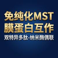 免纯化MST技术用于膜蛋白分子互作：助力双特异性多肽-纳米酶偶联物开发