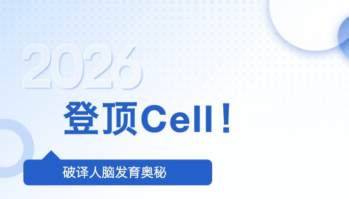 美森细胞高分发文！