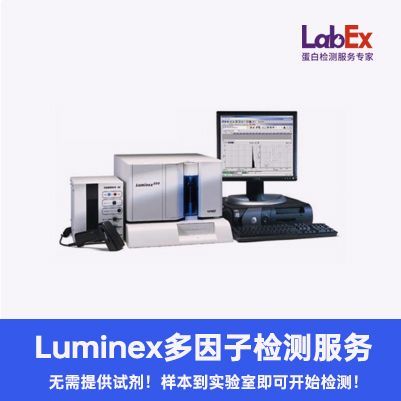 人细胞因子CytoWorks-12因子panel试剂盒