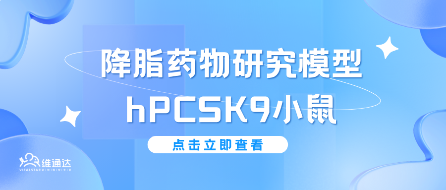 降脂药物研究模型---B6-hPCSK9小鼠