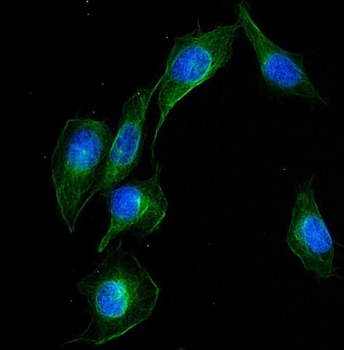 产品细节图片3